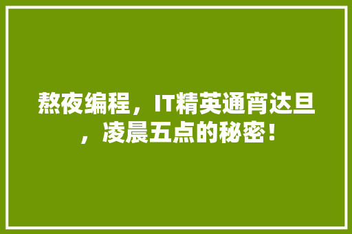 熬夜编程，IT精英通宵达旦，凌晨五点的秘密！