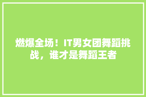 燃爆全场！IT男女团舞蹈挑战，谁才是舞蹈王者 小程序开发