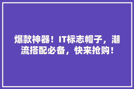 爆款神器！IT标志帽子，潮流搭配必备，快来抢购！