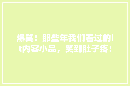 爆笑！那些年我们看过的it内容小品，笑到肚子疼！