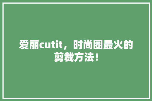 爱丽cutit，时尚圈最火的剪裁方法！ AI技术学习