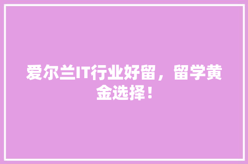 爱尔兰IT行业好留，留学黄金选择！
