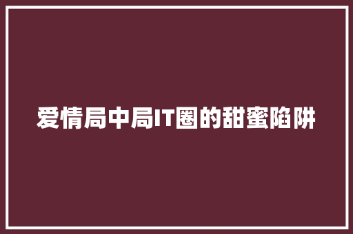 爱情局中局IT圈的甜蜜陷阱 小程序开发