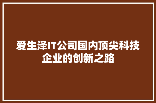 爱生泽IT公司国内顶尖科技企业的创新之路 网站优化