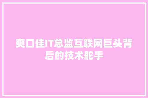 爽口佳IT总监互联网巨头背后的技术舵手