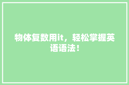 物体复数用it，轻松掌握英语语法！ seo技术