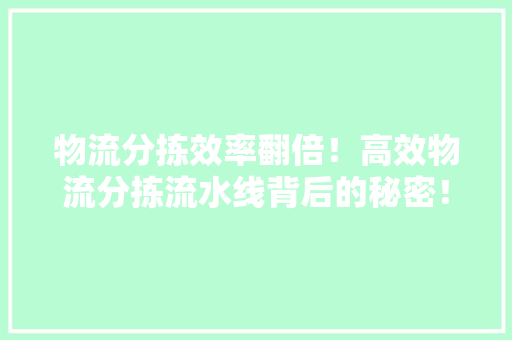 物流分拣效率翻倍！高效物流分拣流水线背后的秘密！