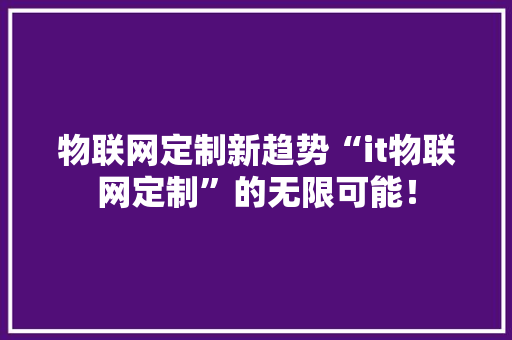物联网定制新趋势“it物联网定制”的无限可能！