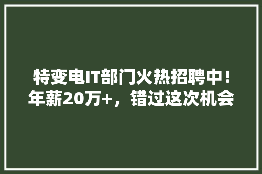 特变电IT部门火热招聘中！年薪20万+，错过这次机会你一定会后悔！ 小程序开发
