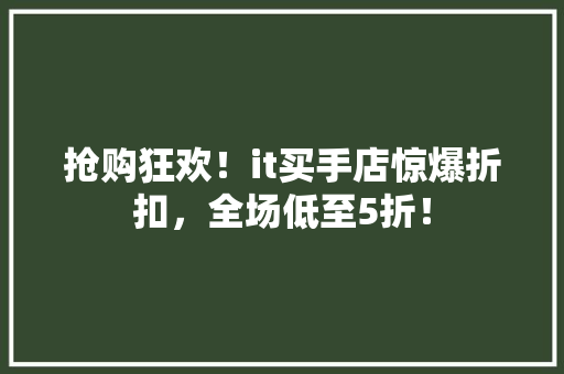 抢购狂欢！it买手店惊爆折扣，全场低至5折！ 网站优化