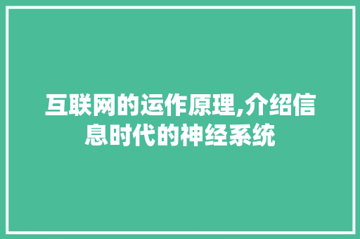 互联网的运作原理,介绍信息时代的神经系统 互联网的运作原理,介绍信息时代的神经系统 网站开发