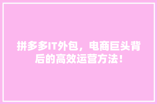 拼多多IT外包，电商巨头背后的高效运营方法！