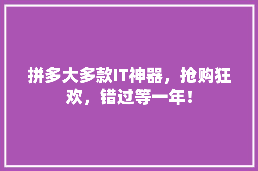 拼多大多款IT神器，抢购狂欢，错过等一年！ 网站优化