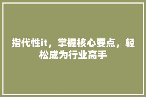 指代性it，掌握核心要点，轻松成为行业高手