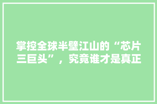 掌控全球半壁江山的“芯片三巨头”，究竟谁才是真正的王者 英文谷歌算法