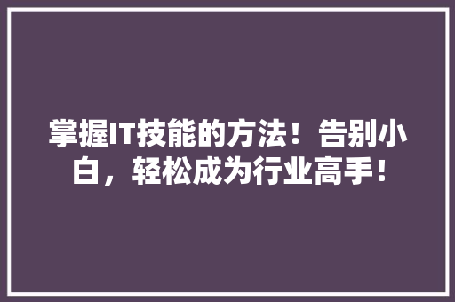 掌握IT技能的方法！告别小白，轻松成为行业高手！ 英文谷歌算法