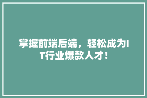 掌握前端后端，轻松成为IT行业爆款人才！ 头条优化