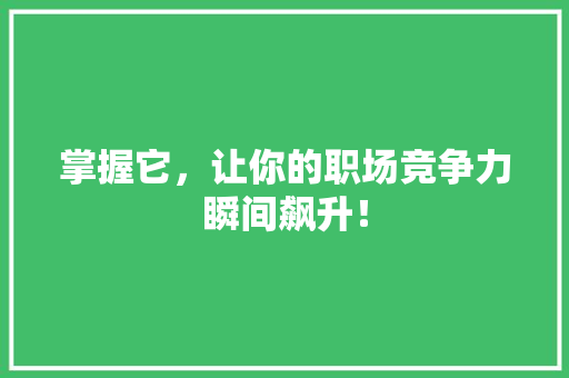 掌握它，让你的职场竞争力瞬间飙升！