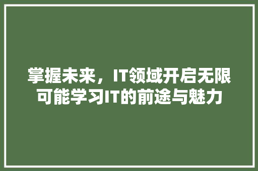 掌握未来，IT领域开启无限可能学习IT的前途与魅力