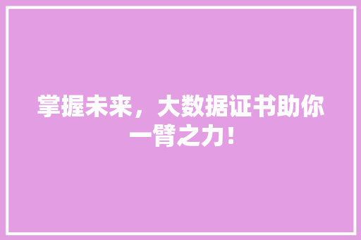 掌握未来，大数据证书助你一臂之力！