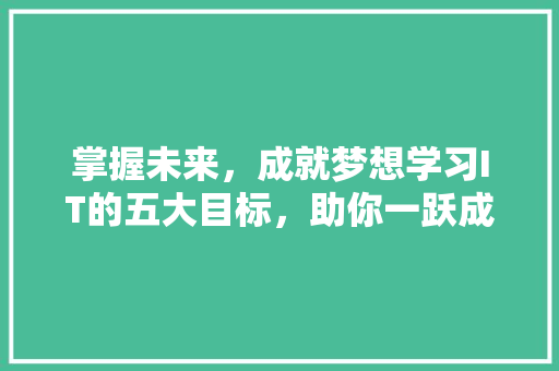掌握未来，成就梦想学习IT的五大目标，助你一跃成为行业精英！