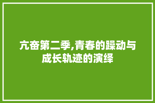 亢奋第二季,青春的躁动与成长轨迹的演绎