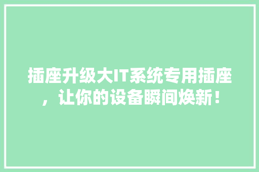 插座升级大IT系统专用插座，让你的设备瞬间焕新！