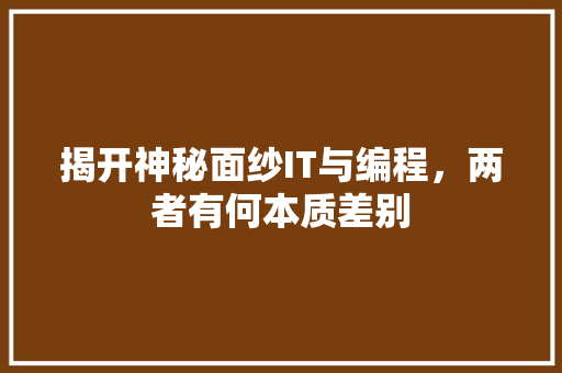 揭开神秘面纱IT与编程，两者有何本质差别