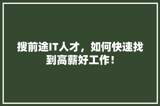 搜前途IT人才，如何快速找到高薪好工作！