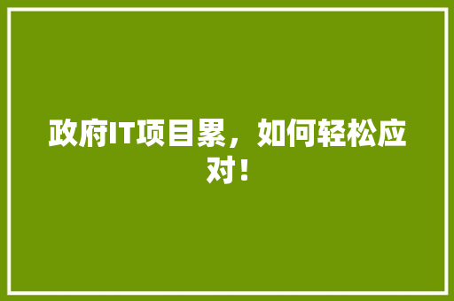 政府IT项目累，如何轻松应对！