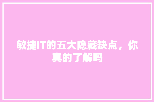 敏捷IT的五大隐藏缺点，你真的了解吗 小程序开发