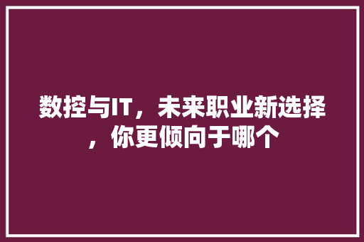 数控与IT，未来职业新选择，你更倾向于哪个