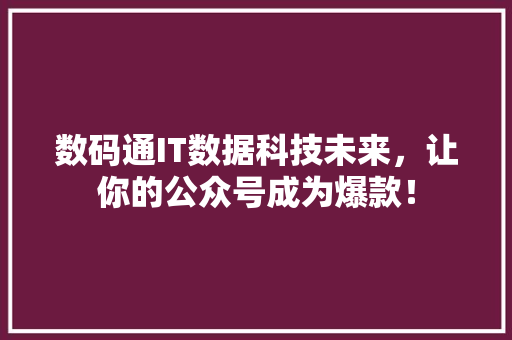 数码通IT数据科技未来，让你的公众号成为爆款！ 小程序开发