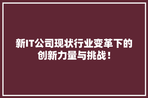 新IT公司现状行业变革下的创新力量与挑战！