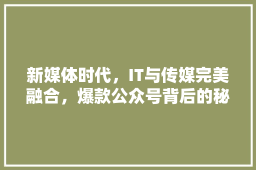 新媒体时代，IT与传媒完美融合，爆款公众号背后的秘密！ 头条优化