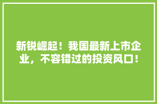 新锐崛起！我国最新上市企业，不容错过的投资风口！