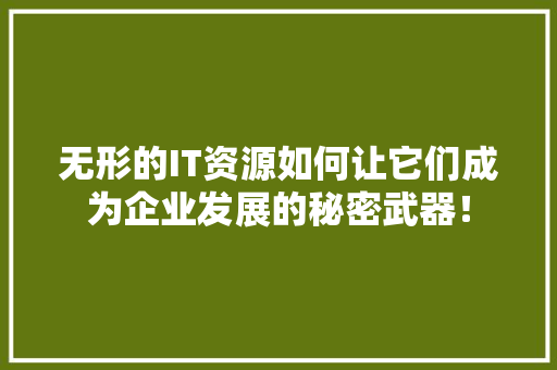 无形的IT资源如何让它们成为企业发展的秘密武器！