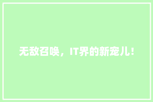 无敌召唤，IT界的新宠儿！ AI技术学习