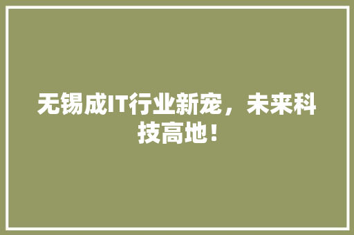 无锡成IT行业新宠，未来科技高地！ seo技术