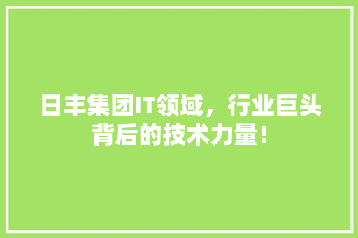日丰集团IT领域，行业巨头背后的技术力量！ 网站优化