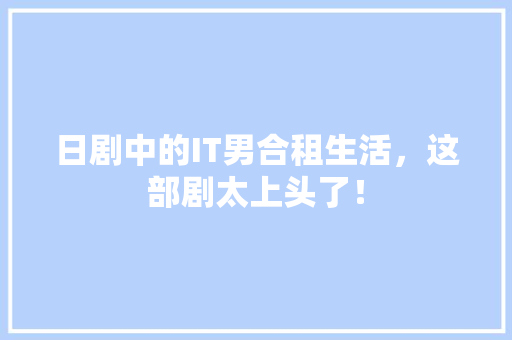 日剧中的IT男合租生活，这部剧太上头了！ 网站优化