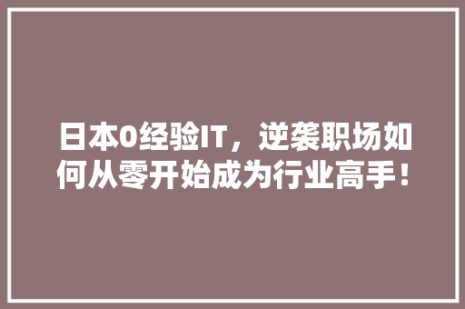 日本0经验IT，逆袭职场如何从零开始成为行业高手！ 网站开发