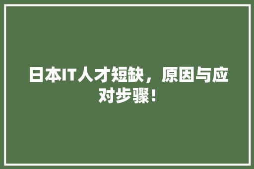 日本IT人才短缺，原因与应对步骤！