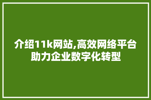 介绍11k网站,高效网络平台助力企业数字化转型 介绍11k网站,高效网络平台助力企业数字化转型 小程序开发