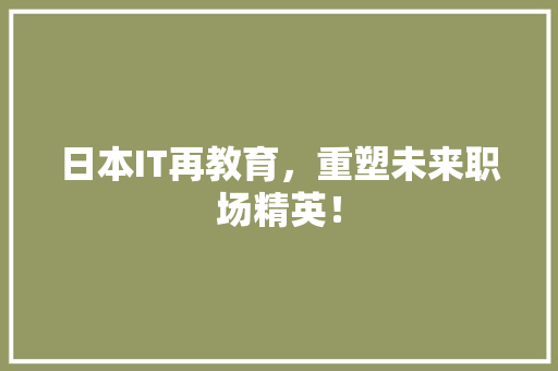 日本IT再教育，重塑未来职场精英！ 网站优化