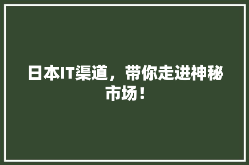 日本IT渠道，带你走进神秘市场！