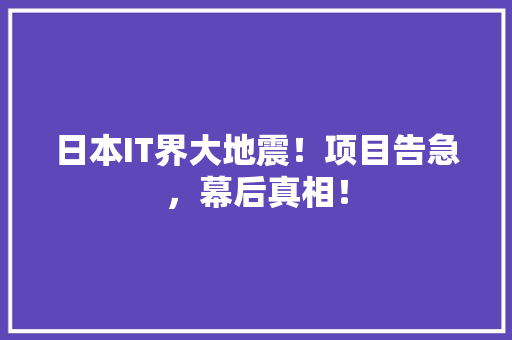 日本IT界大地震！项目告急，幕后真相！ 英文谷歌算法