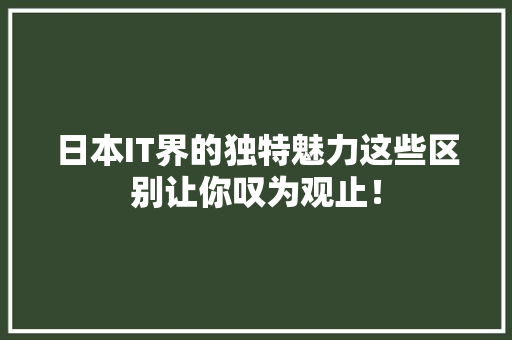 日本IT界的独特魅力这些区别让你叹为观止！