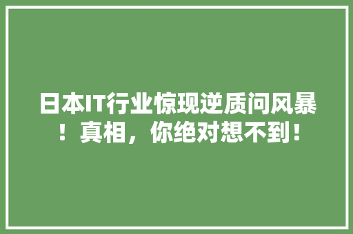 日本IT行业惊现逆质问风暴！真相，你绝对想不到！ 360搜优化