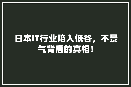 日本IT行业陷入低谷，不景气背后的真相！
